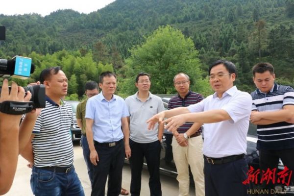 待到山花烂漫时革命英烈,待到山花烂漫时乡村振兴