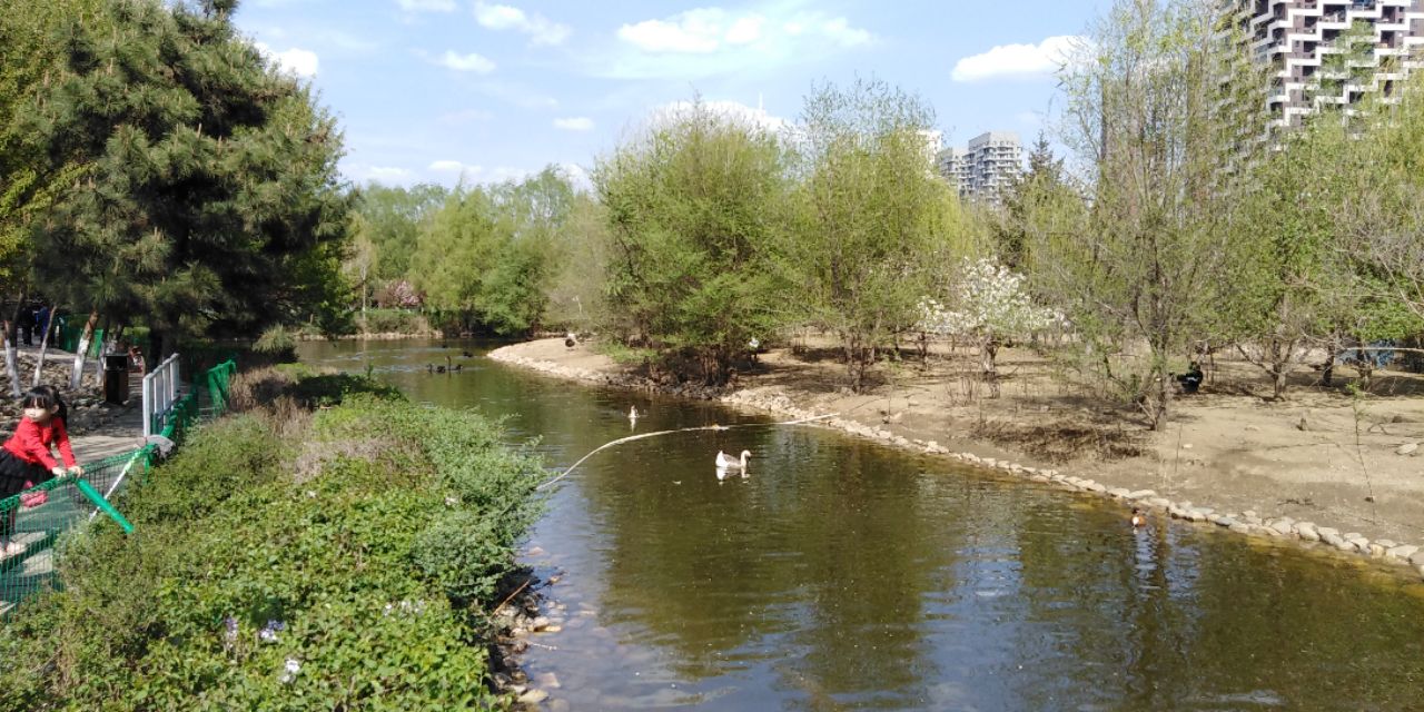 沈阳长白岛森林公园一日游攻略,长白岛森林公园五一