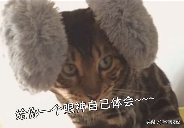 儿子为买房弑母骗保,男子为买房弑母骗保