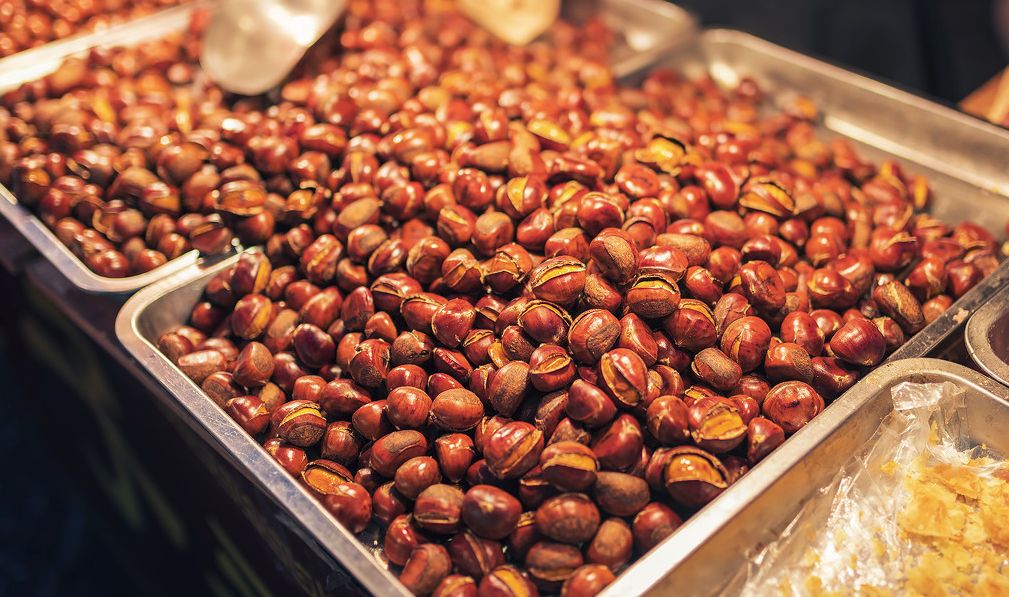 老北京胡同里探秘,探访老北京胡同有意外发现