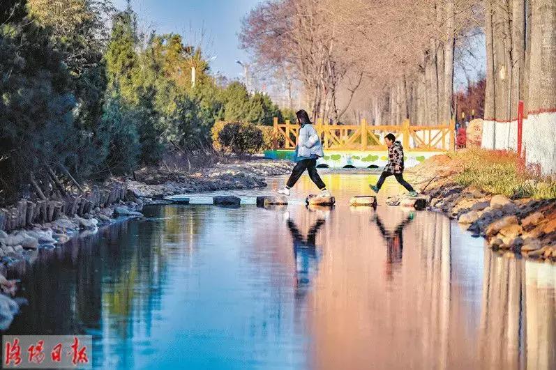 洛阳牡丹花会邀请,洛阳邀请全世界人民看牡丹