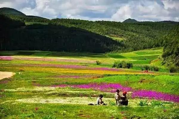 程度副词always,程度副词用法归纳详解