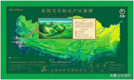 白茶市场深度分析及品牌战略思考(二)