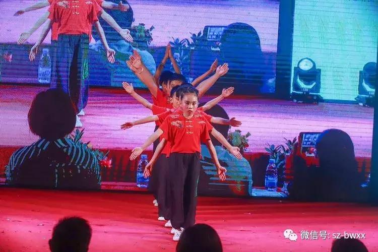 放飞梦想共创辉煌-暨深圳市龙华区宝文学校2019年六一文艺汇演