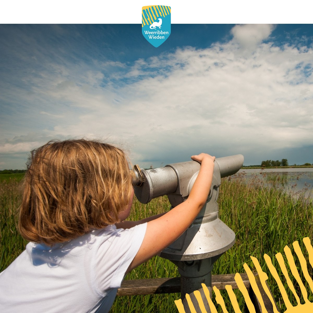 夏日童趣三年级,童趣夏日好时光