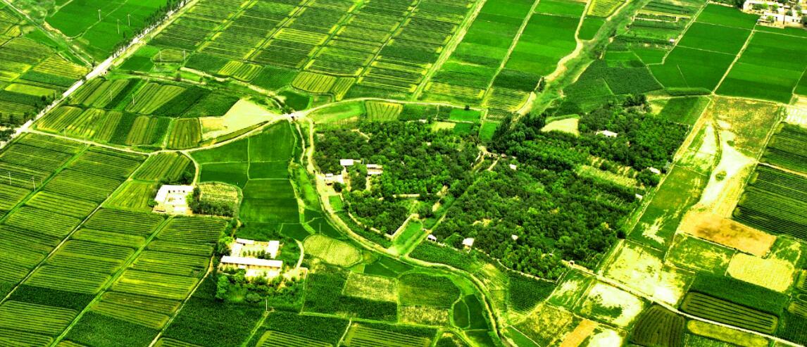 “塞上硒谷”携特色农产品进驻北京,助力京城健康生活