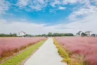 上海市平均工资最新公布,上海16区平均工资排名