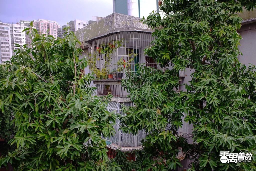 住在番禺的人的感受,在广州番禺区居住怎么样