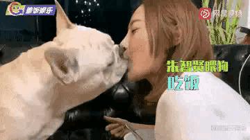 经常跟狗亲密接触能得病吗,人和狗亲密接触会传染细菌吗