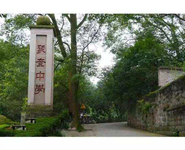 重庆市第一名的初中是哪个校园,重庆市涪陵区第10中学