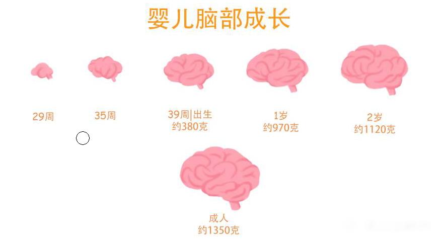 为什么宝宝睡着后身体会抖动,宝宝入睡前偶尔会发生全身抖动