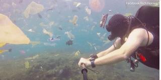 巴厘岛最垃圾的海滩,巴厘岛度假胜地