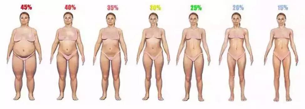 身高172厘米体重92bmi是多少,身高体重指数bmi的计算方法是