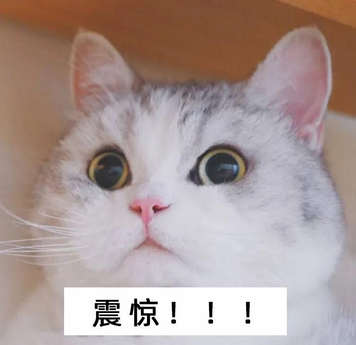 到底是保胆好还是切除好,怎么手术保胆