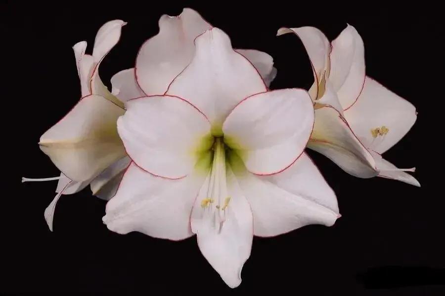 老北京俏皮话歇后语,老北京典故及歇后语