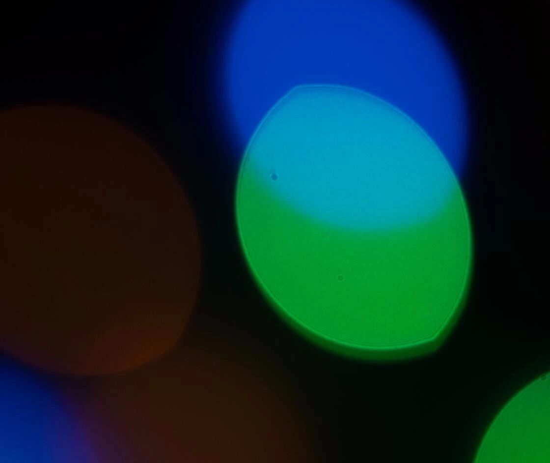 佳能rf851.2ds版是什么意思,佳能rf851.2镜头