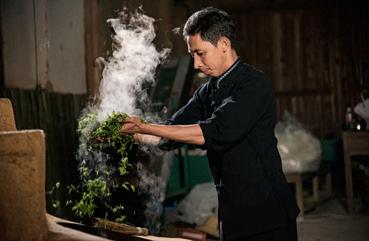 惠明茶叶的功效,惠明茶绿茶