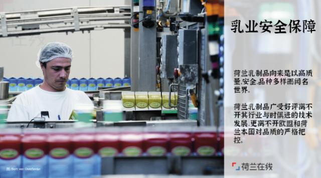 荷兰奶粉管理严吗,荷兰奶粉攻略