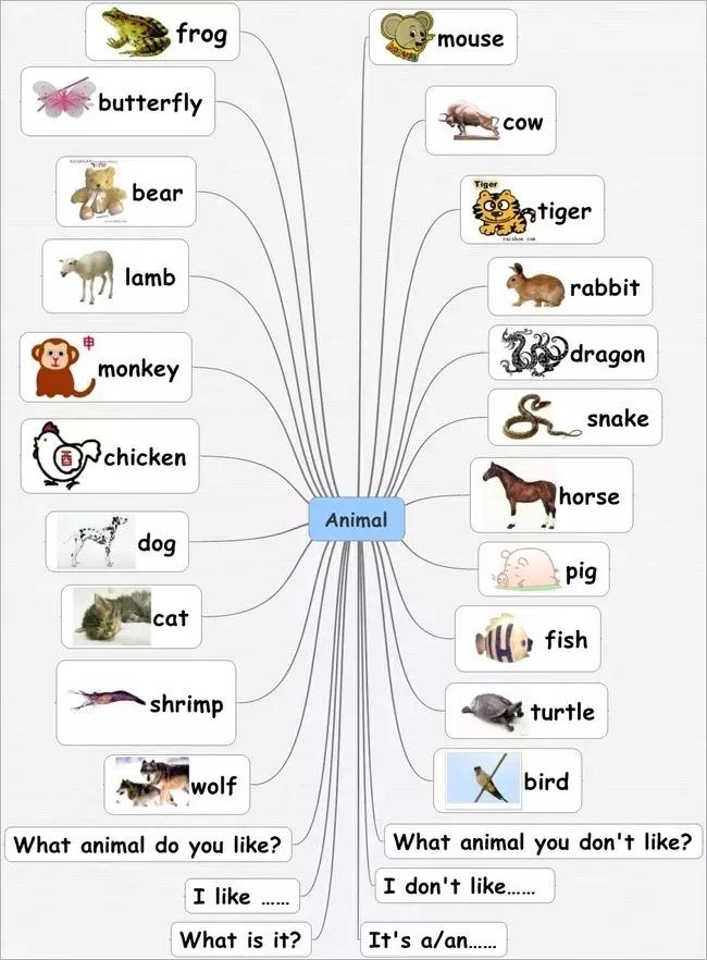 小学英语思维导图大全集,思维导图学英语阅读