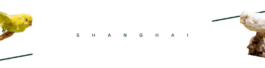 时髦精都在逛的hAomArket好市,一站式承包你的冬日小众好物