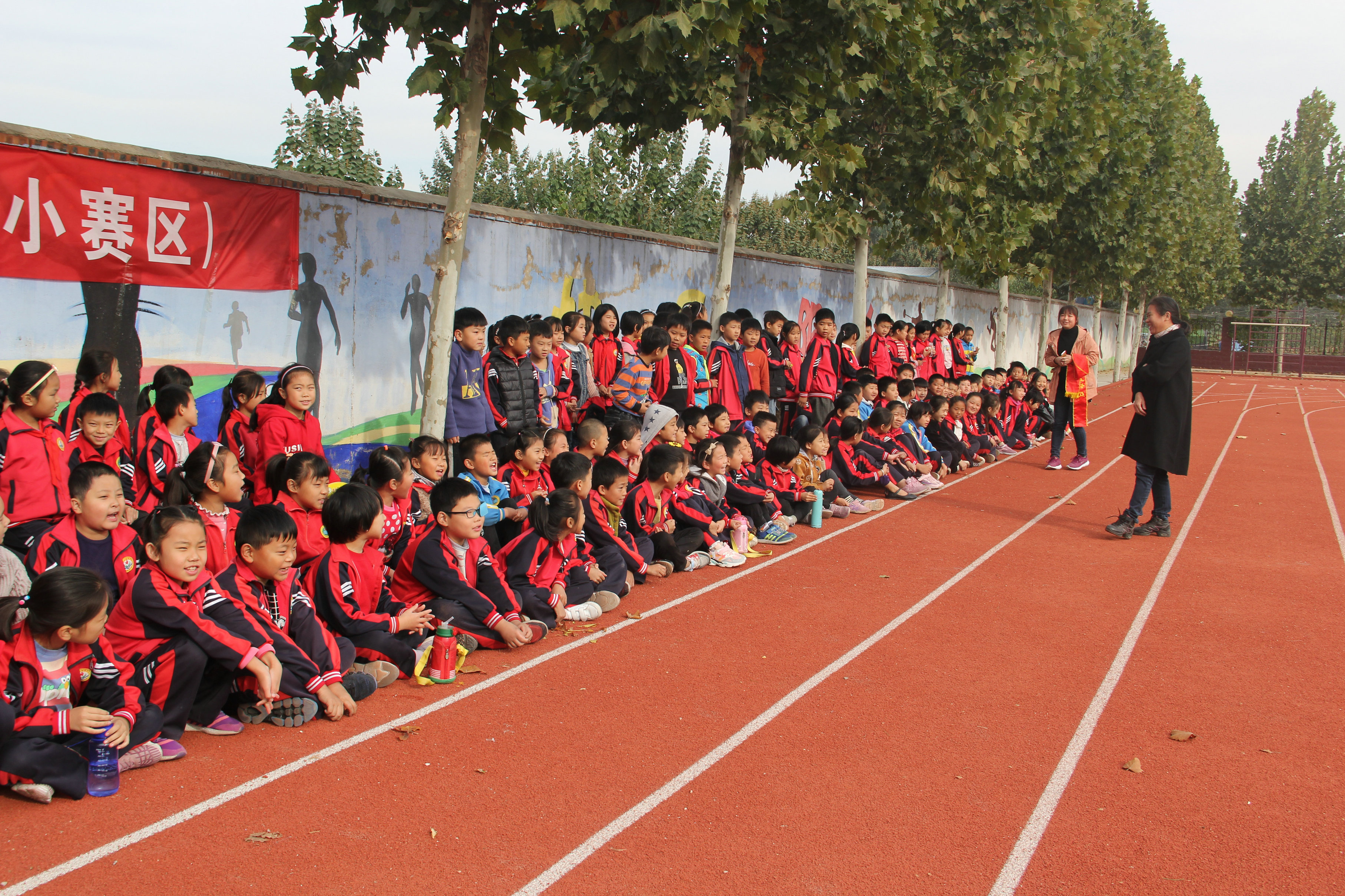 驰骋绿茵场足球争霸,驰骋绿茵场少年梦飞扬