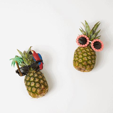 菠萝的英语为什么是pineapple,菠萝英文pineapple的由来