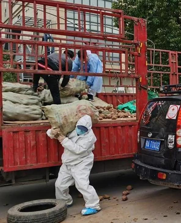 武汉抗疫虎哥,抗疫英雄人物虎哥