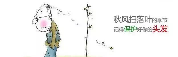 导致脱发的罪魁祸首你都了解,引起脱发的十大原因