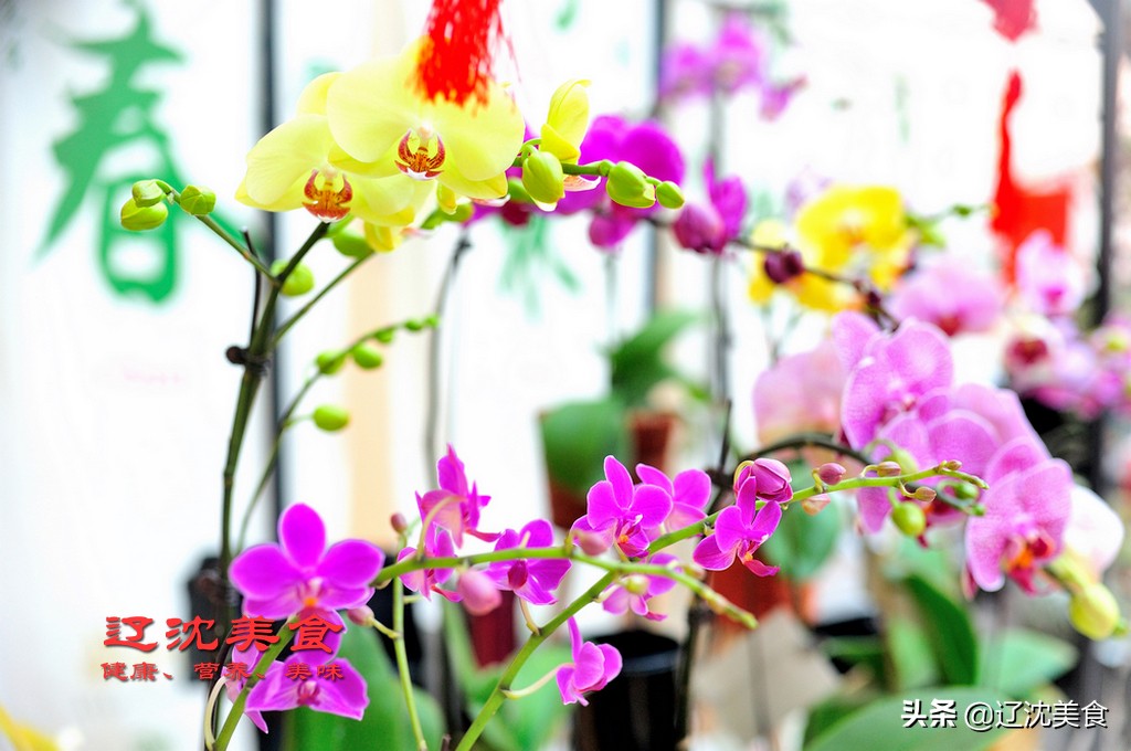 k11商场沈阳春节营业时间,沈阳各大市场春节营业时间