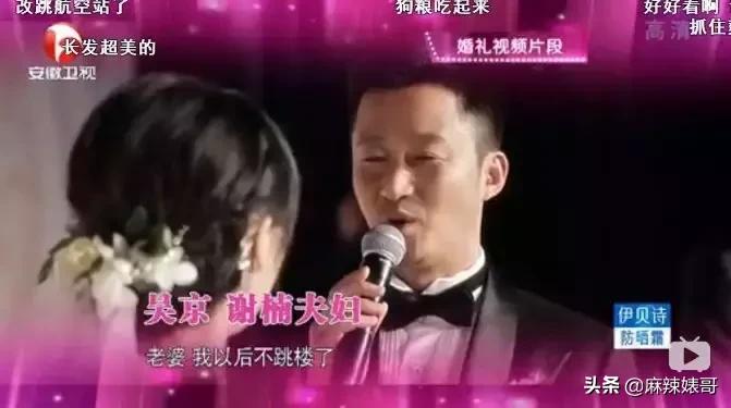 吴京电影宝藏,吴京演了无价之宝吗