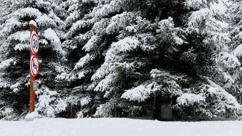 macai始祖鸟是硬壳还是软壳,始祖鸟macai滑雪测评