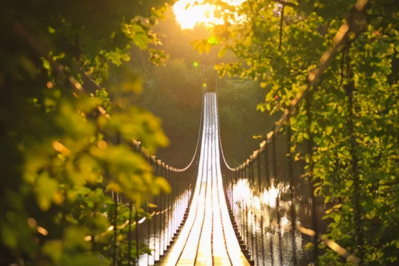 对幸福的理解小学生作文,小学生以幸福为话题的作文