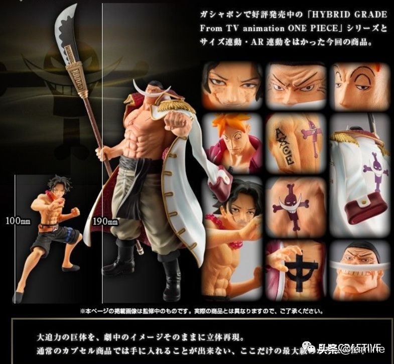 海贼王布鲁克模玩图鉴,海贼王白胡子模玩