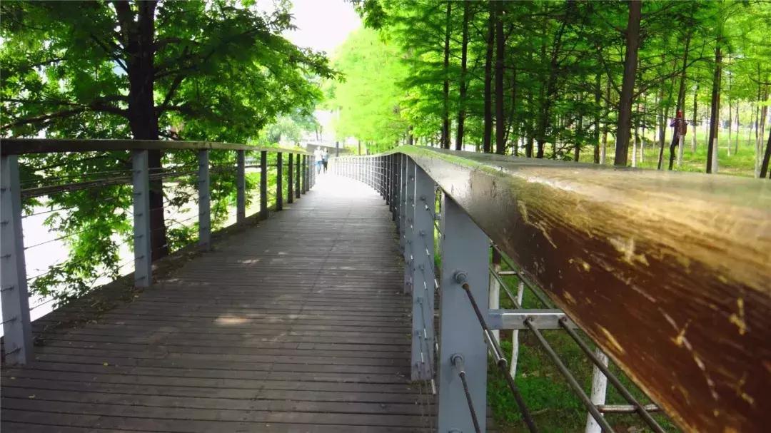 我们一起，还住汉阳