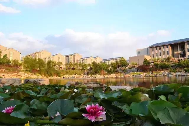 考多少分可以报山东财经大学,考山东财经大学要选什么