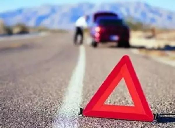 前方有动物横穿可以采取紧急避让,遇到猛兽可以开车直接撞吗