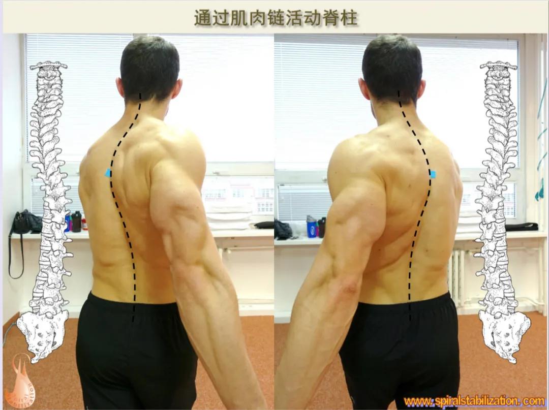 sps鍒涘浜虹悊鏌ュ痉,鐞嗘煡寰蜂翰鎺坰ps瀵煎笀