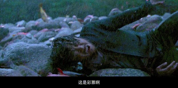 外交部对洪都拉斯表态表示欢迎,洪都拉斯与中国建交互派大使