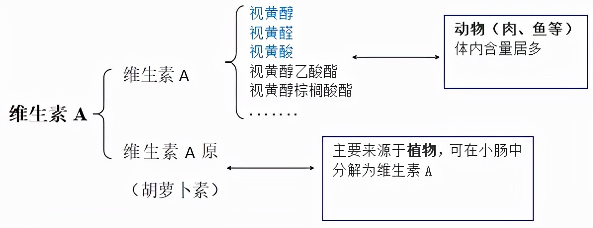 维生素a中毒后的主要症状表现为,维生素A过量的风险