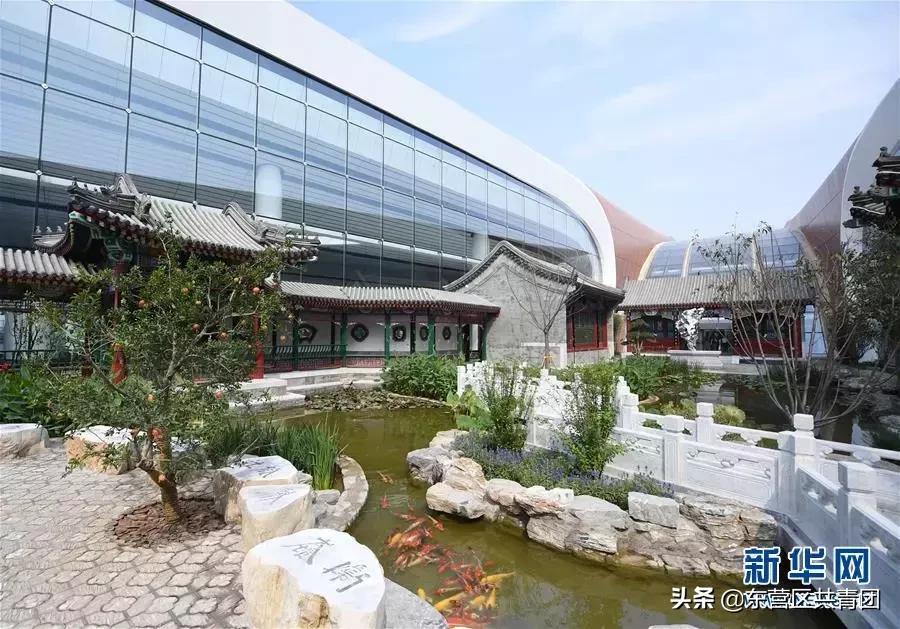 这也太牛了赞,这也太努力了表情包