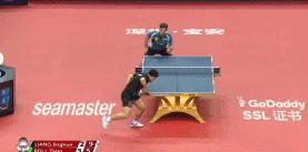 乒乓球波尔的最好成绩,乒坛老波尔