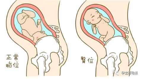 孕期日记第27周,孕期日记第21周