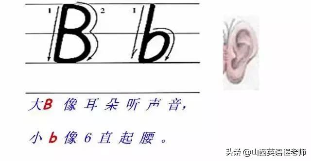 如何快速背诵26个英文字母的拼音,英文字母表26个字母正确发音读法