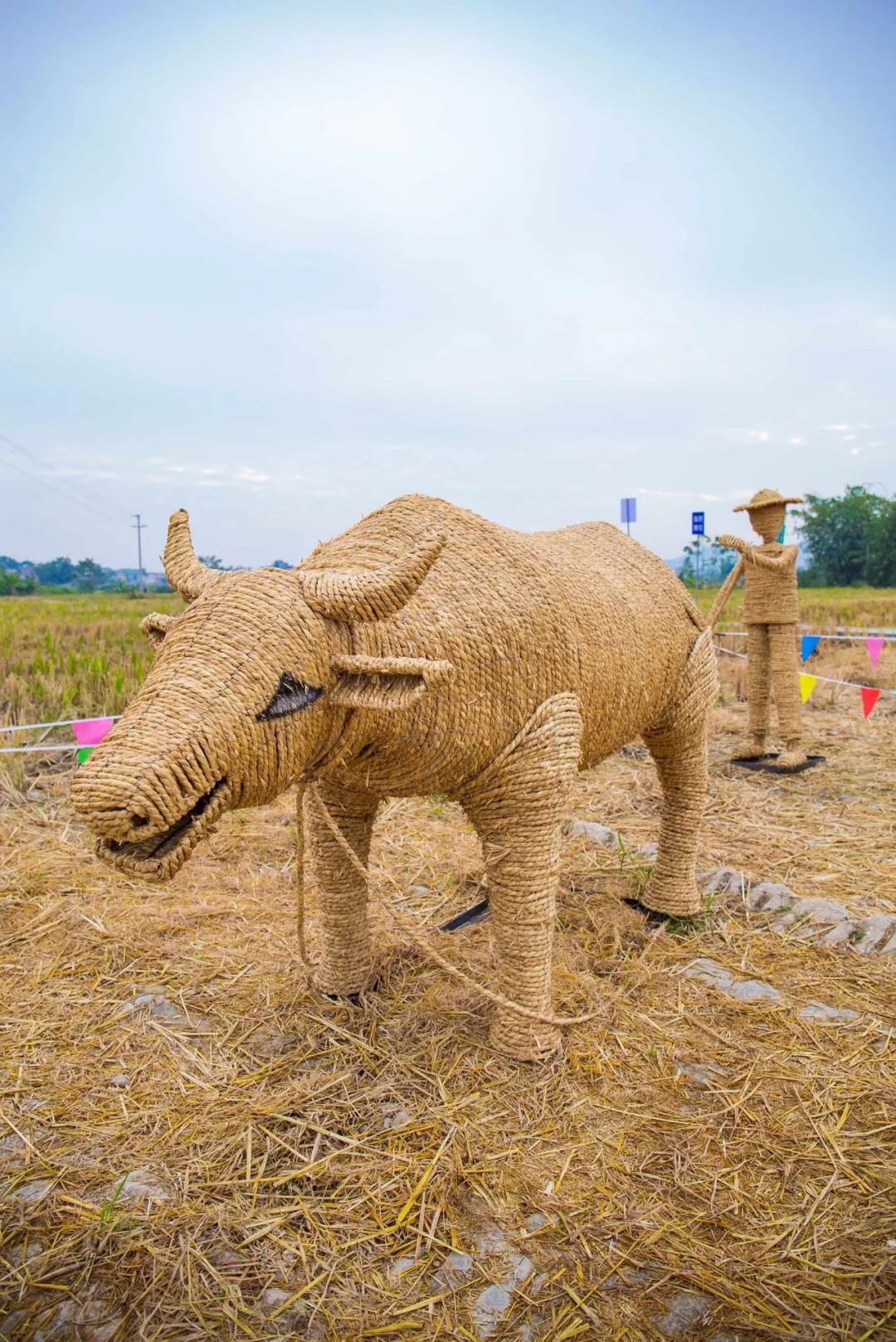 云浮带娃游玩攻略,云浮适合小朋友玩的地方