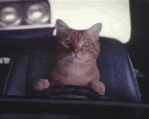 送你10个日常笑话只为博你一笑,让你笑翻的十个笑话