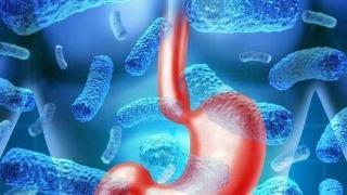 需要冷藏的鲜牛奶可以煮沸喝吗,买回来的牛奶可以加热吗