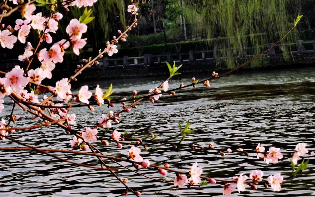 “语”我同行|好诗共品