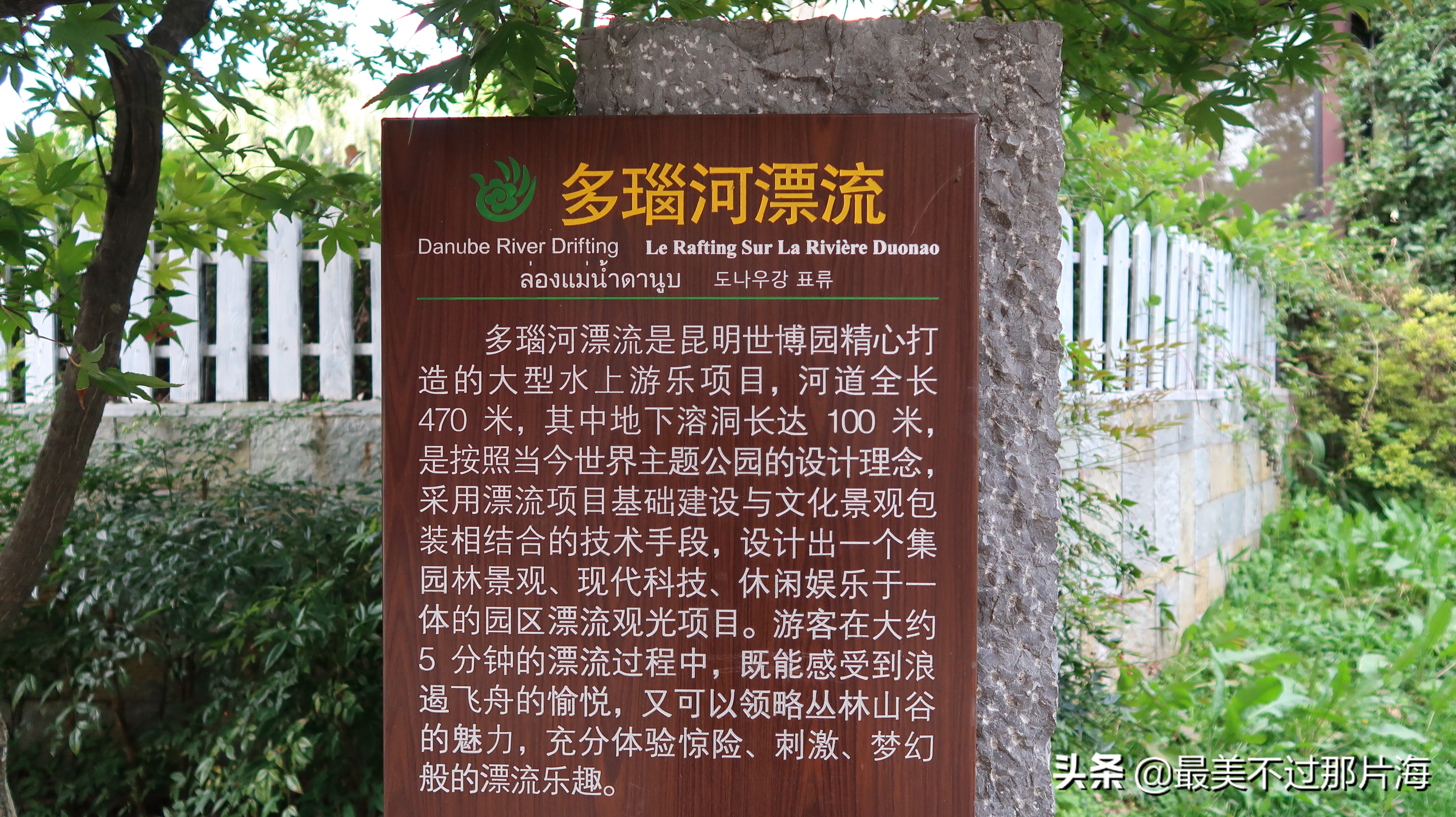 昆明世博园和云南大观园游玩攻略,昆明有个世博园四季如春好地方