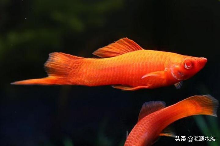 从外表到内在再到灵魂,从外表到内在