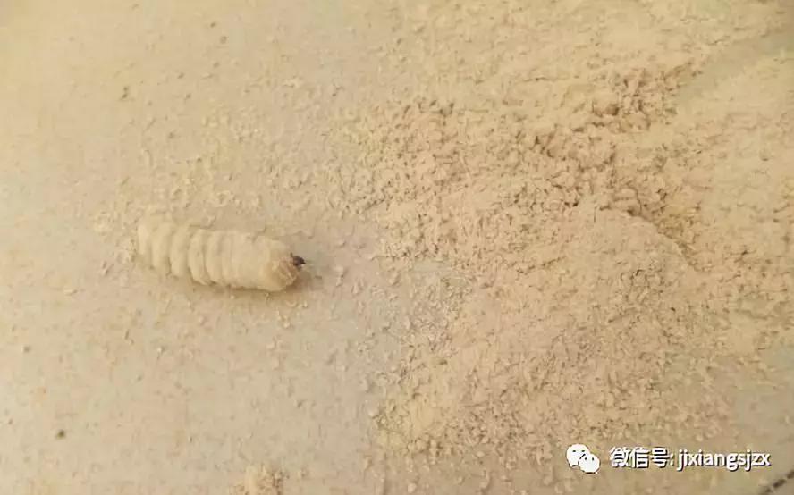 木质防火板施工价格,墙面防火板产品介绍